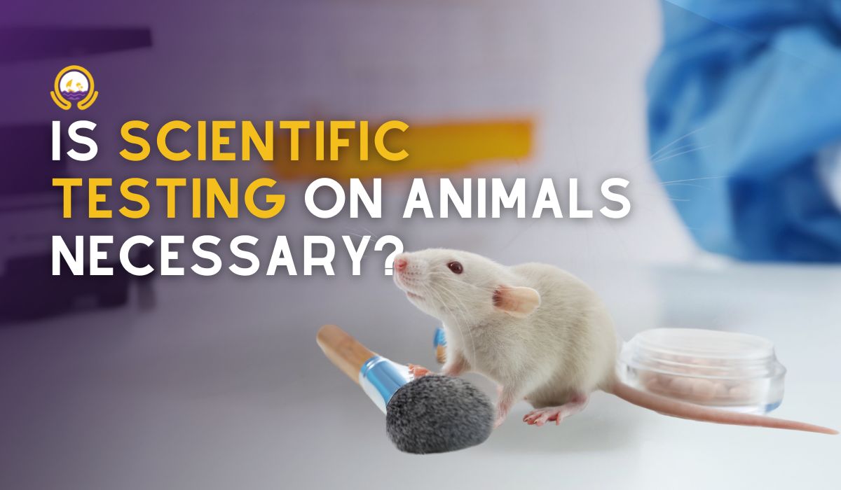 Is Scientific Testing on Animals Necessary?
